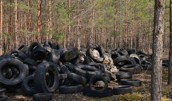 5 ton opon w lesie w jeden miesiąc. Jest coraz gorzej