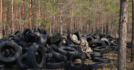 5 ton opon w lesie w jeden miesiąc. Jest coraz gorzej