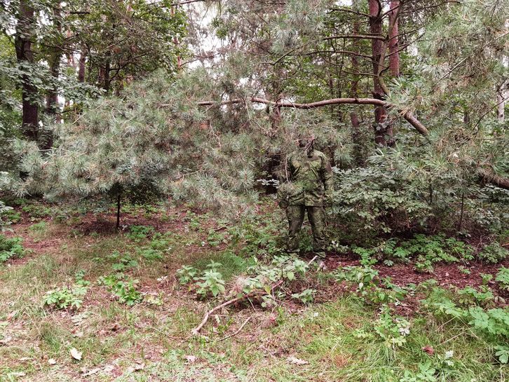 Kamuflaż PenCott Wildwood, lokalizacja druga