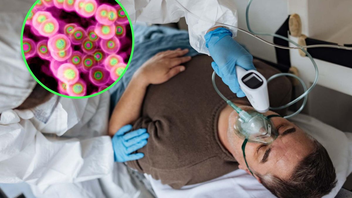 W wyniku zakażeń inwazyjnych paciorkowcami może dochodzić do rozwoju zespołu wstrząsu toksycznego