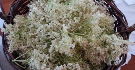 Tak dorabia do emerytury. Oto ile płacą za kilogram