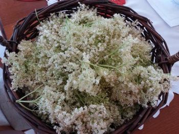 Tak dorabia do emerytury. Oto ile płacą za kilogram