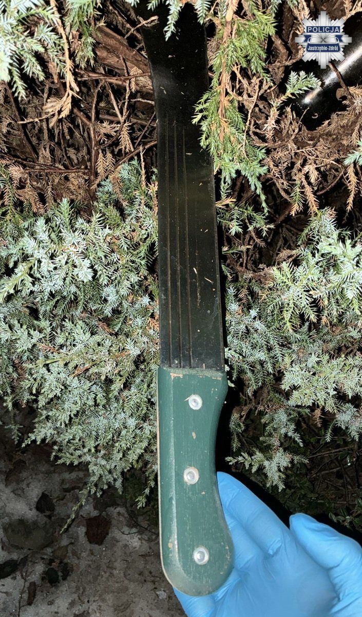 Maczeta, gaz pieprzowy i telefon w dłoni – nastolatki zwabiły rówieśników do lasu i urządziły im piekło