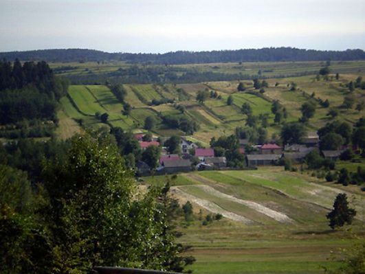 Obraz