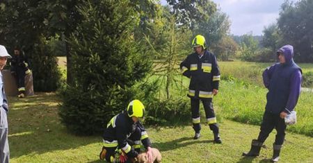 Pies skazany na śmierć. Uratował go grzybiarz z Karolewa pod Łodzią