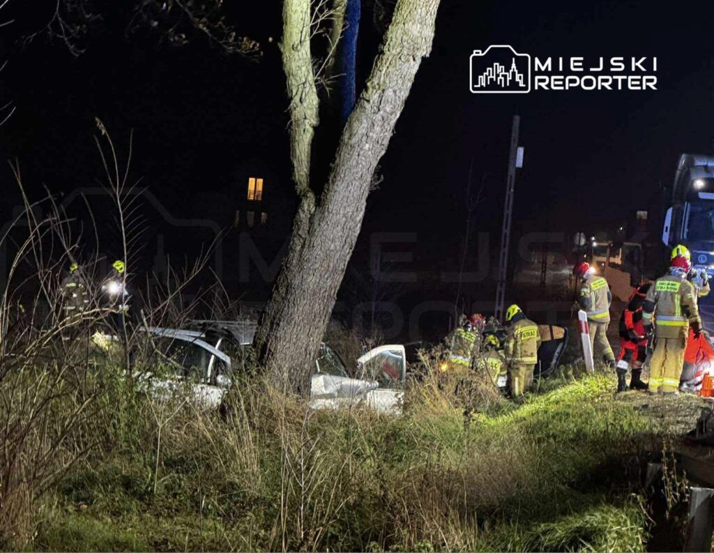 Grupa ratowników i strażaków udziela pomocy przy przewróconym samochodzie w zaroślach nocą.