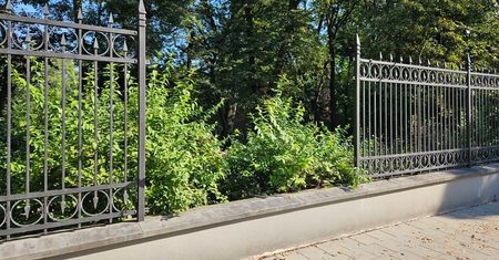 Miasto bierze się za uszkodzone w wakacje ogrodzenie Ogrodu Saskiego. Wiemy, ile będzie to kosztować