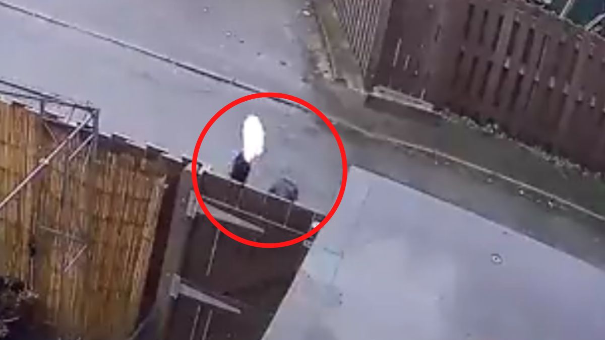 kurier prezenty boze narodzenie swieta