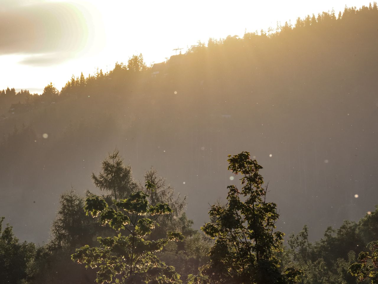 Pył znad Sahary dotarł nad Tatry. Na śniegu możliwe żółte osady