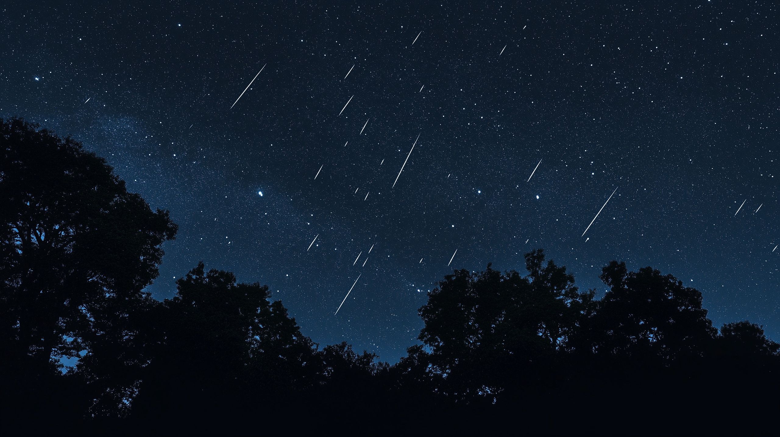 urokliwe, zjawisko, gwiazdy, ciemne, nocne, niebo, jasne, smugi, spektakularny, obraz, noc, kosmos, efekt, widok, astronomia, blask, magia, galaktyka, konstelacje, meteor, wizualizacja, tajemnica, intensywny, iluminacja, fenomen, promienie, wrażenie, cud, migotanie, romantyczny, zjawiskowy, elegancja, chwila, atmosferyczny, kosmiczny.