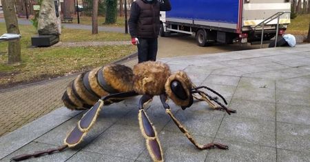 Leśne giganty pod Warszawą. Nowa atrakcja dla dzieci w sękocińskich lasach