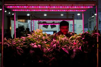 W tej branży Czechy mają przewagę nad Polską. "Imponujące"