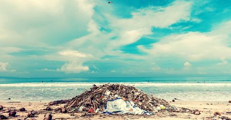 Te roboty pomogą nam oczyścić dna mórz i oceanów