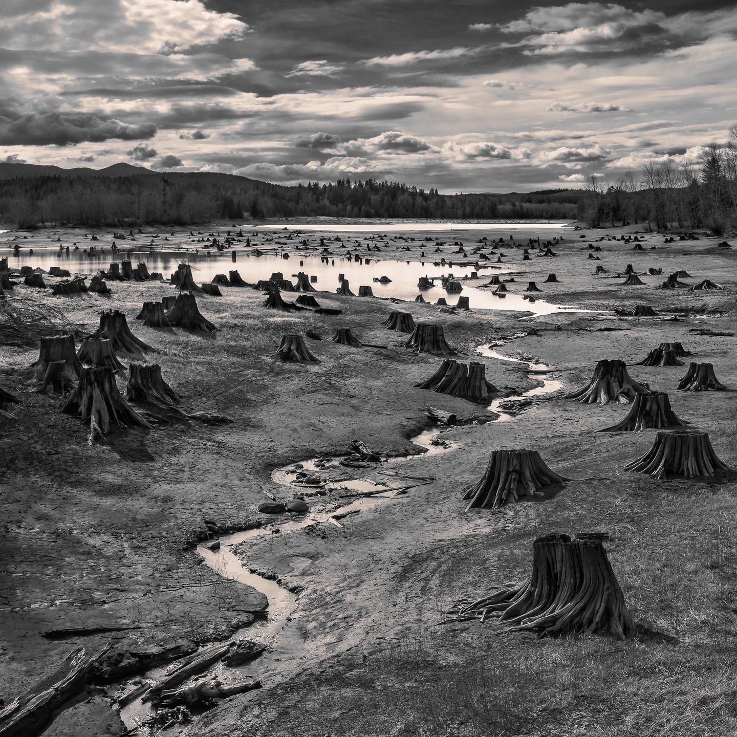 Piotr Leczkowski zwycięzcą polskiej edycji National Awards w Sony World Photography Awards 2019 8