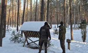 Drastyczny widok w lesie. Leśnicy są pewni. To nie był wypadek
