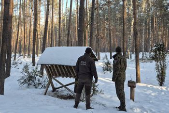 Drastyczny widok w lesie. Leśnicy są pewni. To nie był wypadek