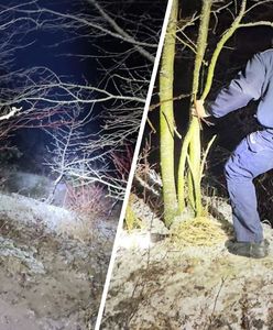 Ze spaceru wrócił tylko pies. Policjant poszedł z liną za 20-latkiem