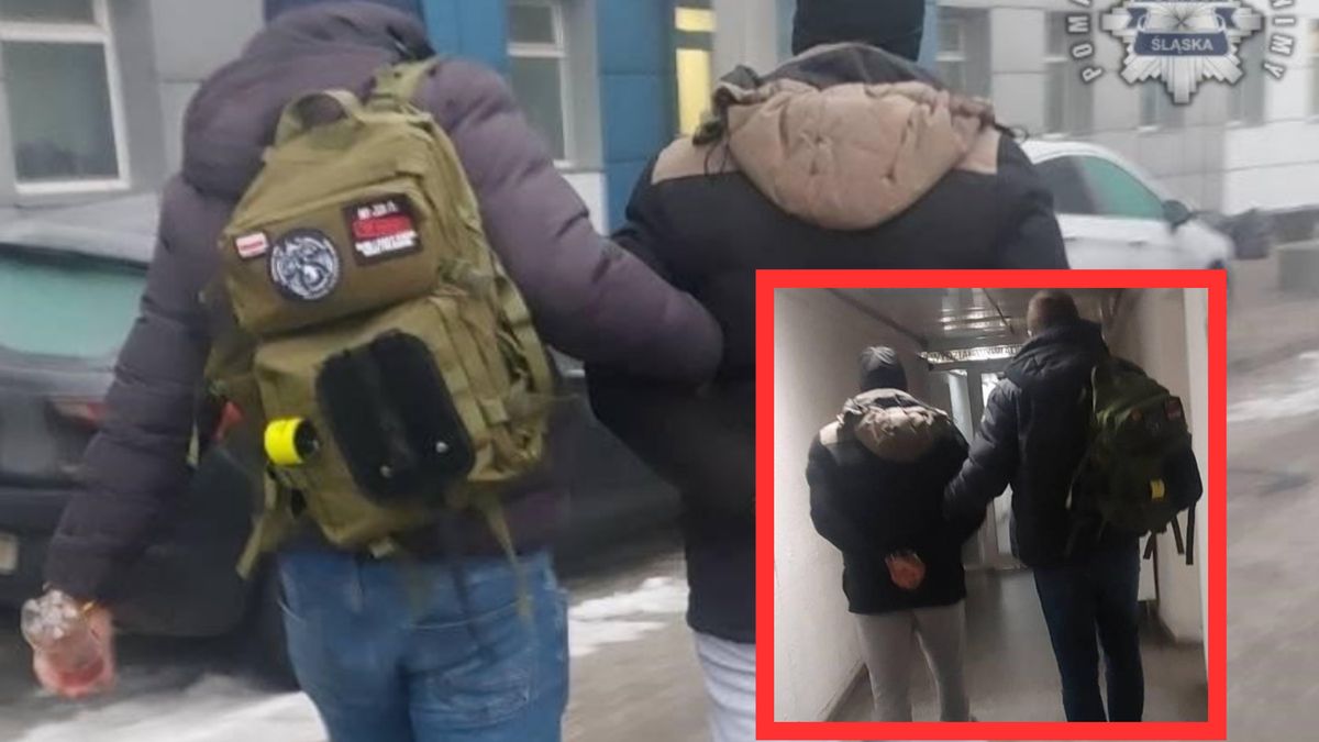 Mężczyznę zatrzymano w wynajmowanym mieszkaniu w Zabrzu