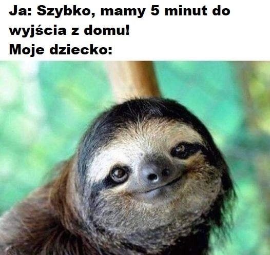 Memy Dzień Dziecka 2026