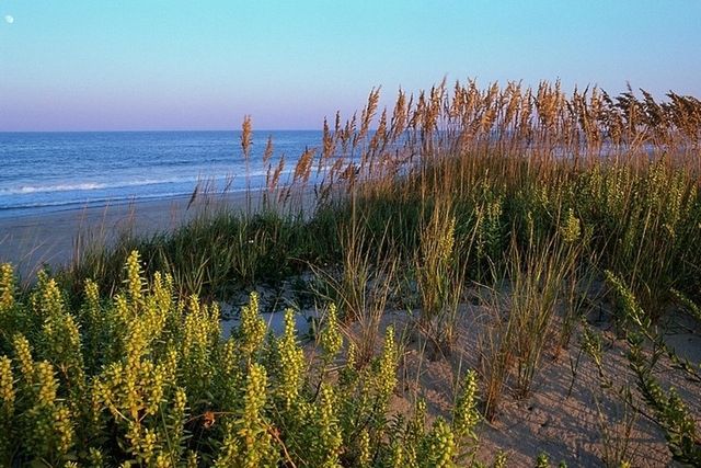 Zbiór tapet "plażowych" na lepsze samopoczucie 10