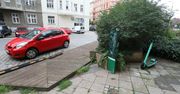 Wrocław: Zielone skrzynie na Daszyńskiego. Nie wszyscy oceniają je źle