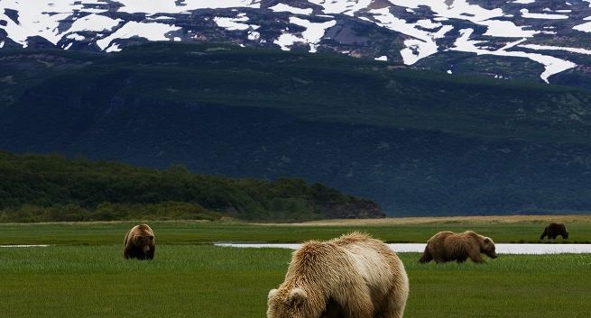 Wakacje w Fokus TV: magazyn wędkarski i programy przygodowe dla młodzieży