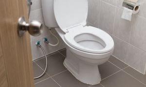 Zgnieć i włóż do spłuczki. Po kamieniu nie zostanie ślad