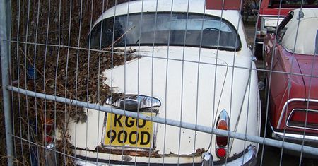 Cmentarz samochodów w Kędzierzynie-Koźlu [galeria]