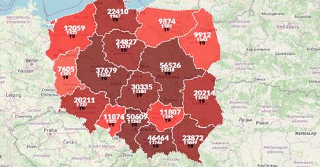 Koronawirus w Polsce. Aktualna mapa zakażeń [02.11.2020]