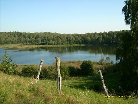 Obraz