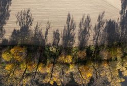 Pogoda na niedzielę. Duży wzrost ciśnienia i koniec okresu z wiatrem i opadami