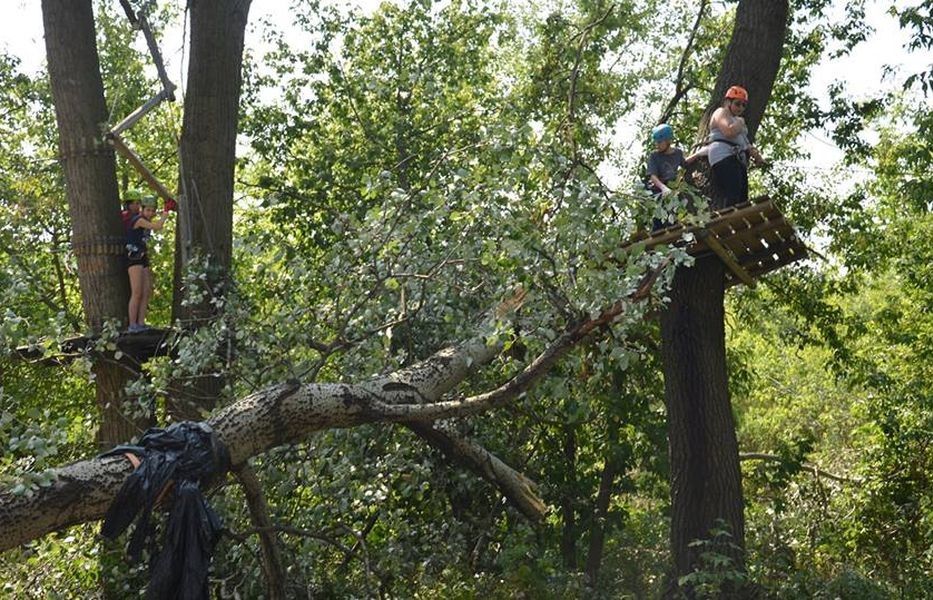 O krok od tragedii. Drzewo przewróciło się na Park Linowy przy ZOO