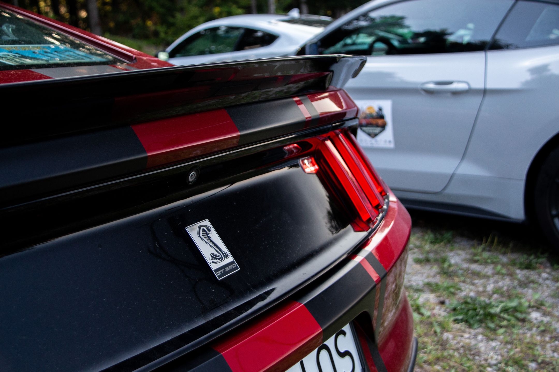 Małopolski & Śląski Zlot Mustangów 2024