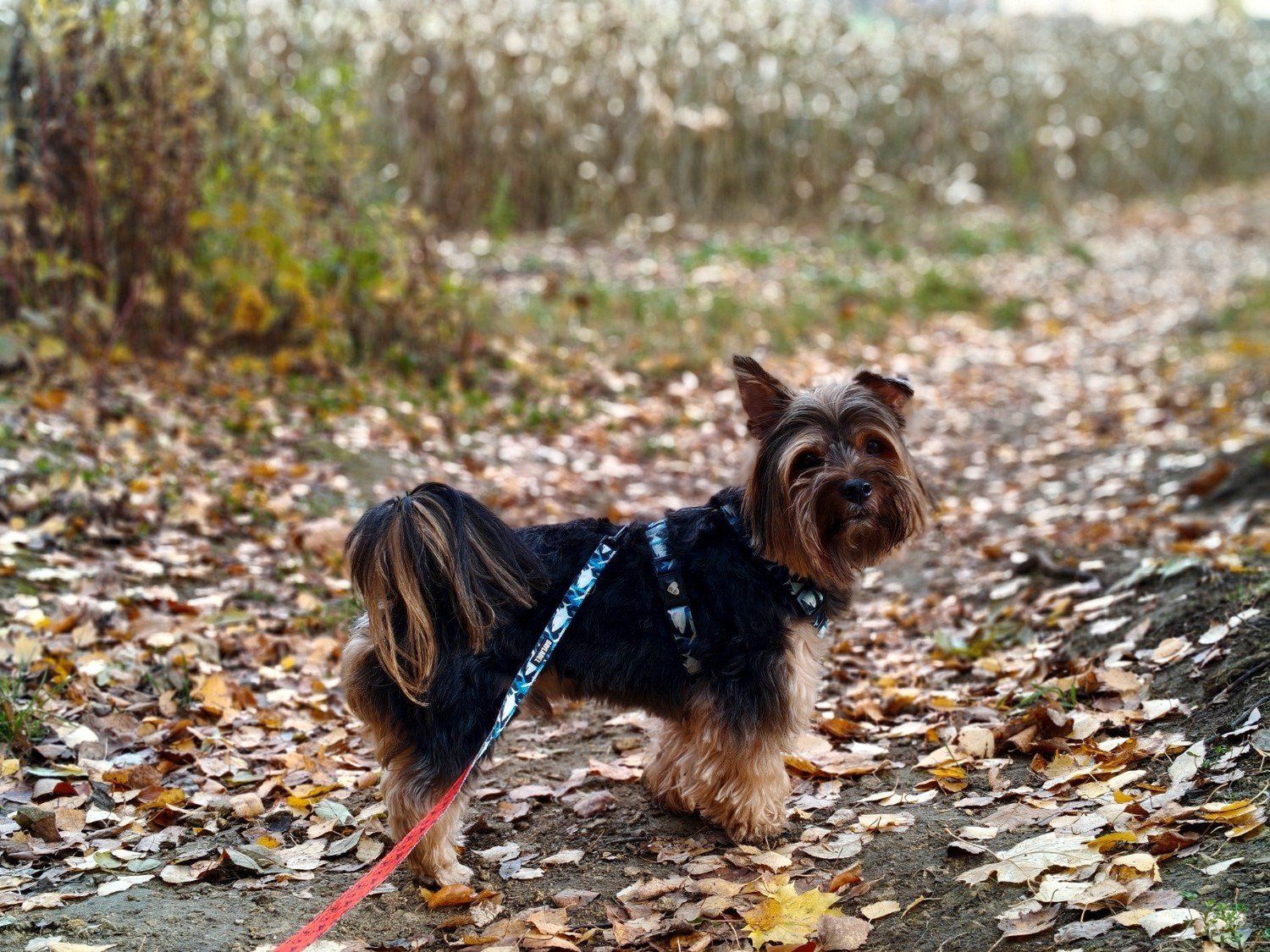 Przewijaj w dół, aby przejść do następnych zdjęć!