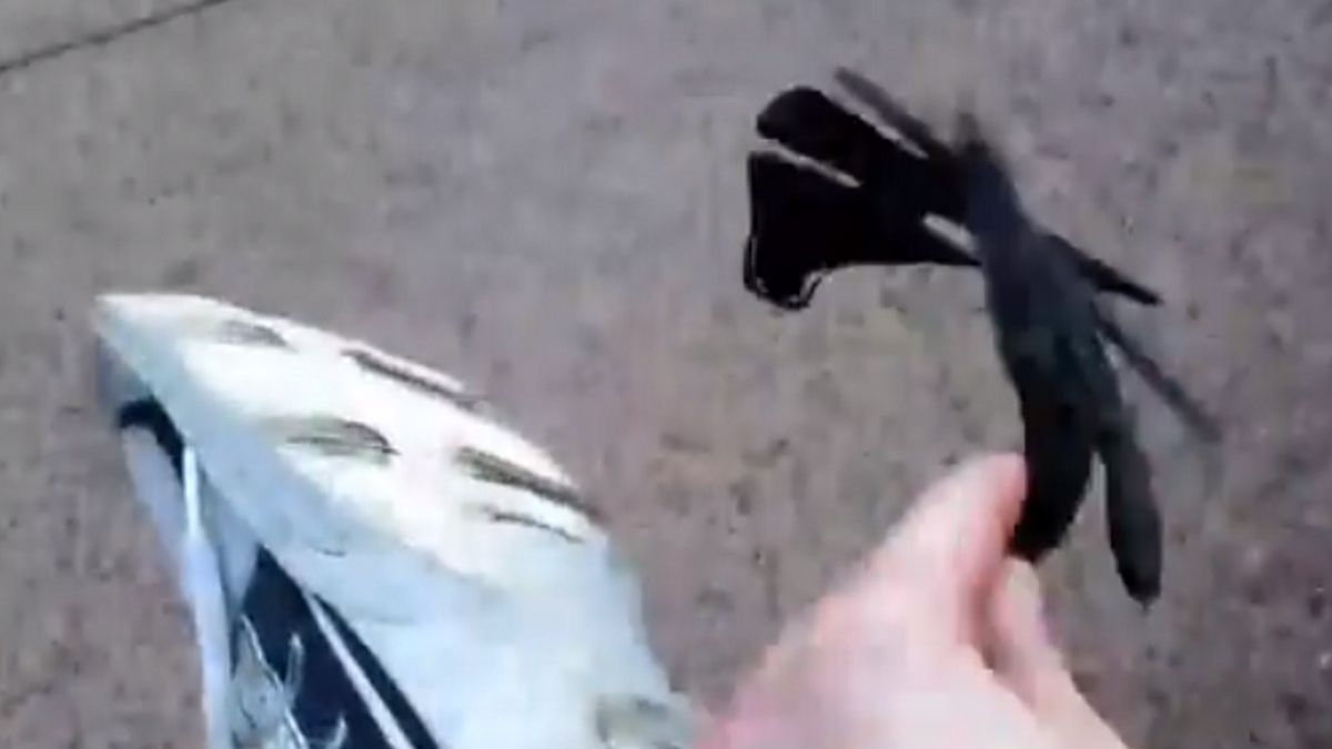 Wysoka temperatura sprawia, że mieszkańcom Arizony topnieją podeszwy butów