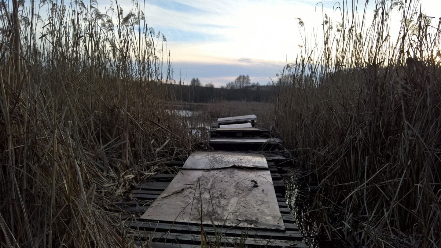 Microsoft Lumia 950 - test i recenzja 33