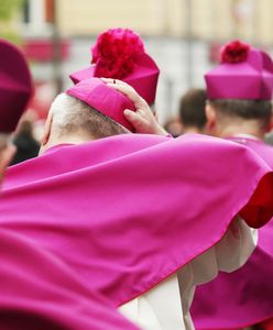 Czarzasty dla WP: "Pan dyrektor Rydzyk nie będzie dostawał grubych milionów"