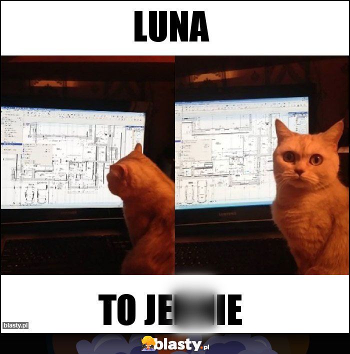 Luna na Eurowizji 2024. Memy po pófinale