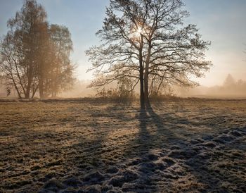 Nawet do -10 st. C w nocy. Gdzie będzie najcieplej?