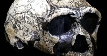 Bułgaria. Homo sapiens mieszkał obok Neandertalczyka. Przełomowe odkrycie naukowców
