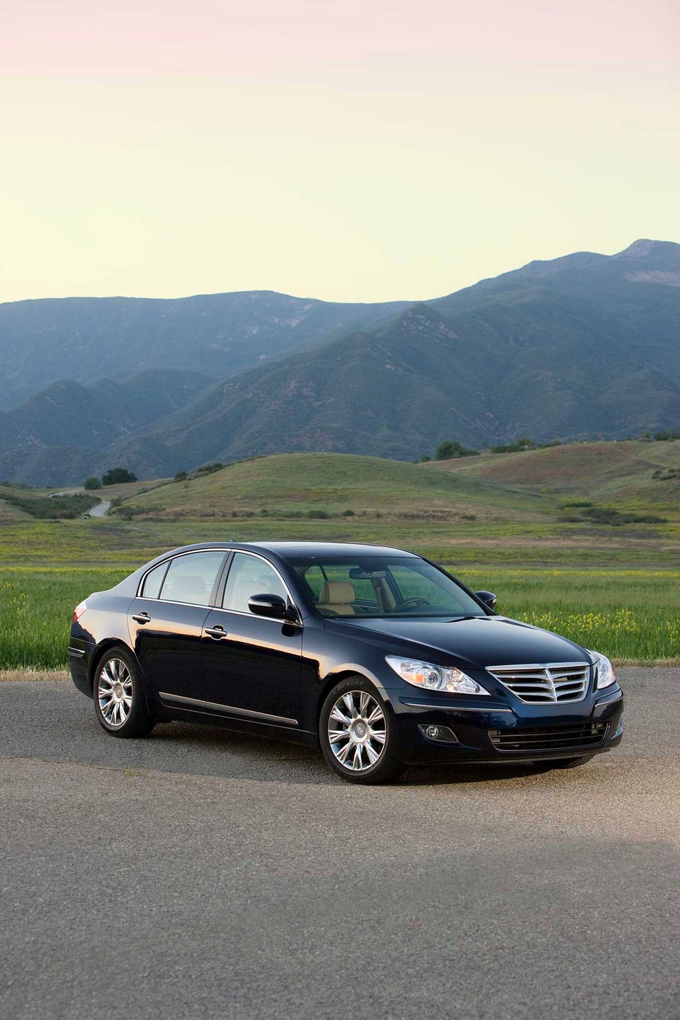 2010 Hyundai Genesis