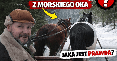 Konie z Morskiego Oka - jaka jest sytuacja na teraz?