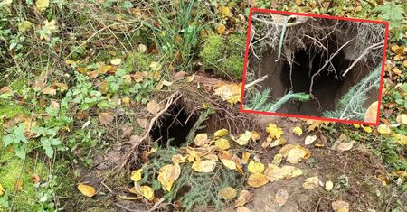 Odkryli tunel wykopany pod polską granicą. Pokazali nagranie