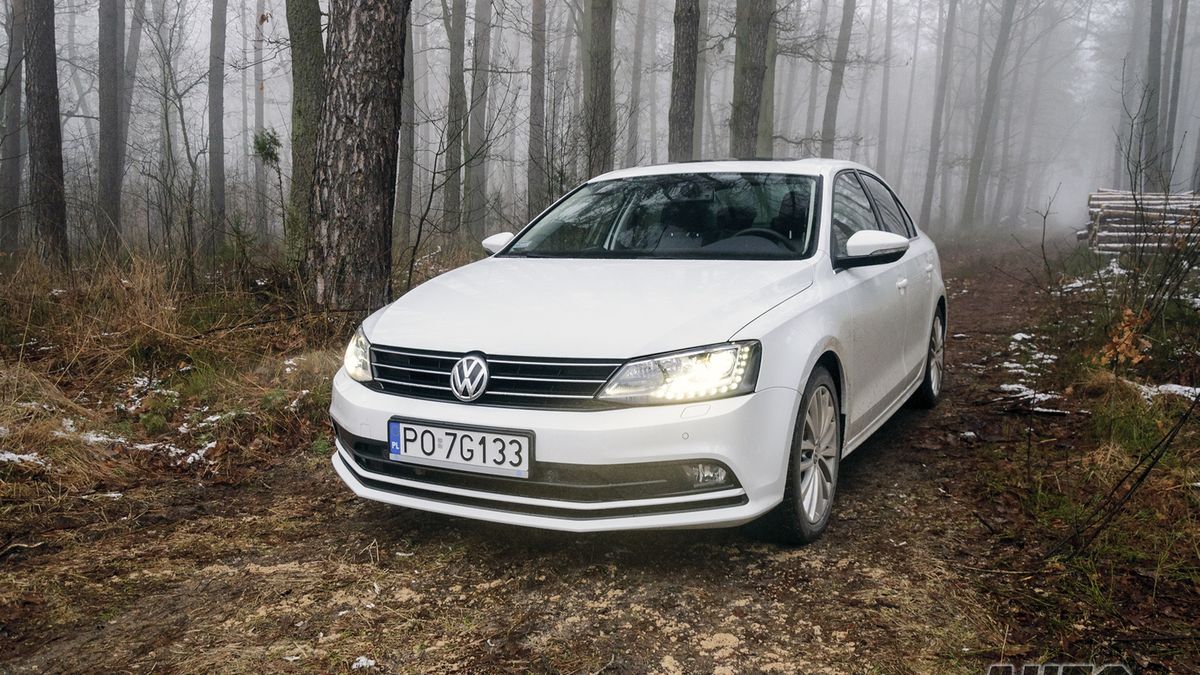 Zdjęcie ilustracyjne do artykułu