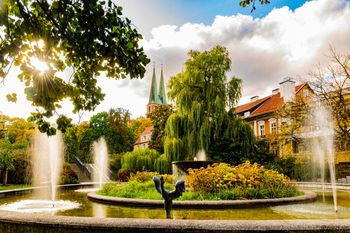 Pogoda w Olsztynie. Prognoza na niedzielę 9 listopada