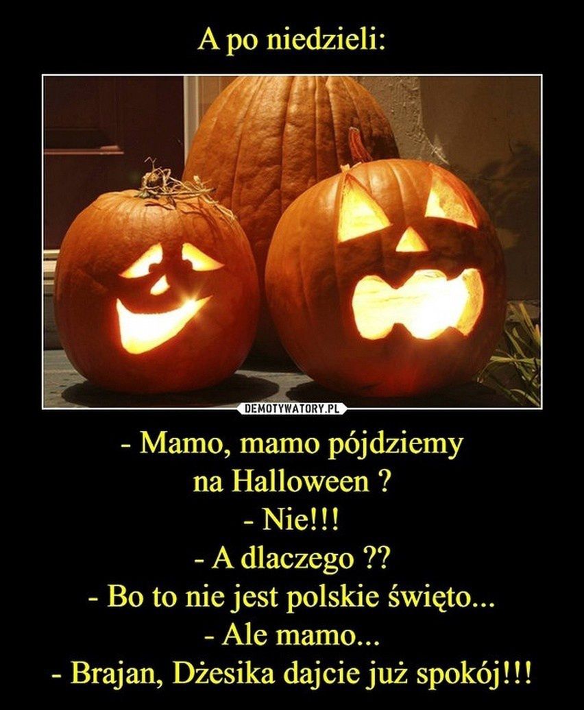 Halloween 2024, memy (Demotywatory)
