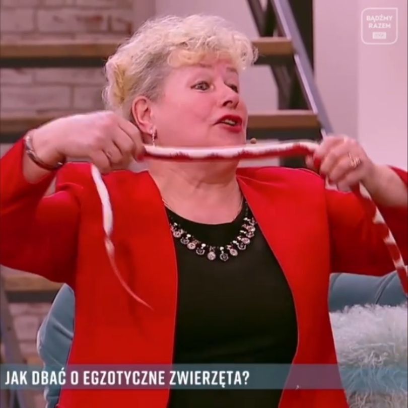 Fani oburzeniu zachowaniem Małgorzaty Tomaszewskiej podczas wizyty Haliny z "Sanatorium miłości" w "PnŚ".