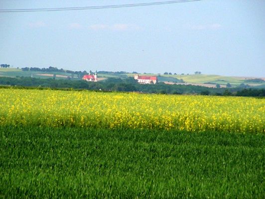 Obraz