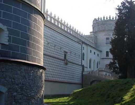 Obraz