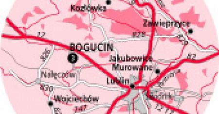 Bogucin